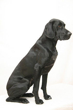 Gracie 049_JM.jpg