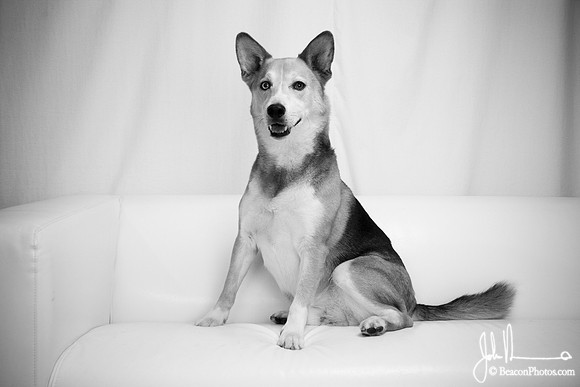 Lucas_0019_LS.jpg