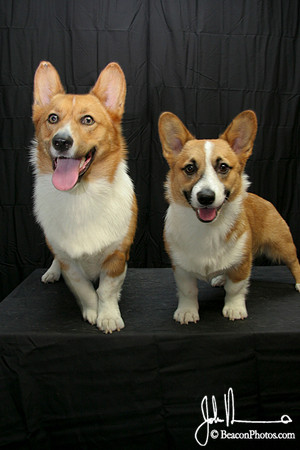 Percy and Rigel_2