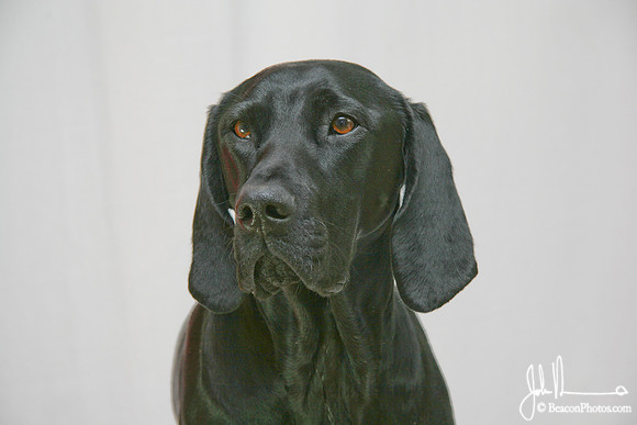 Gracie 039_JM.jpg