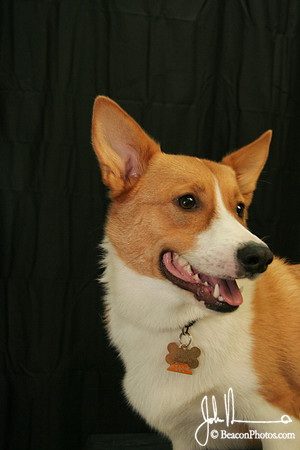 George_1