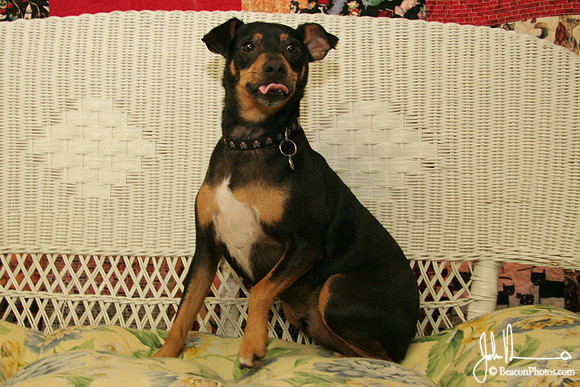 Douglas aaron Macpherson_12