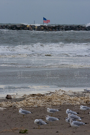 Waves-0035.jpg