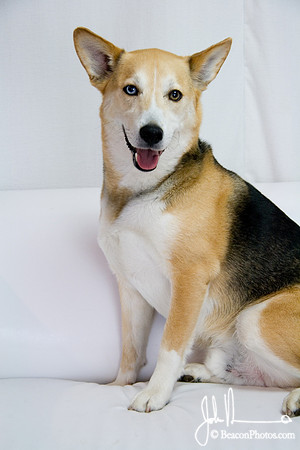 Lucas_0012_LS.jpg