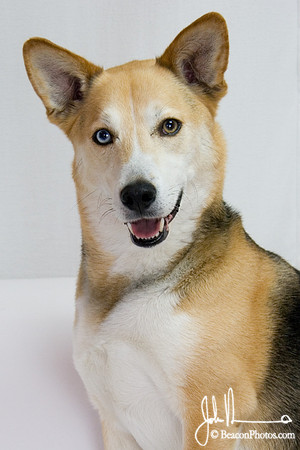 Lucas_0015_LS.jpg