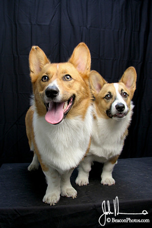 Percy and Rigel_5