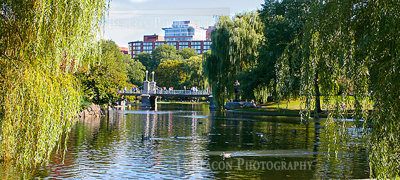 Boston_Commons005
