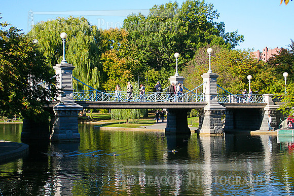 Boston_Commons012