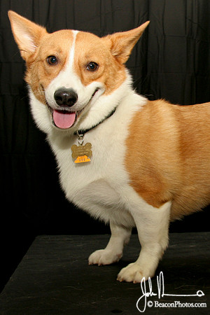 George_3